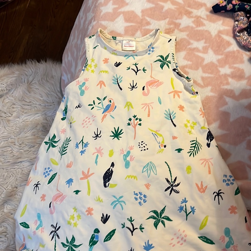 Hanna Andersson Dress